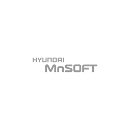 mnsoft